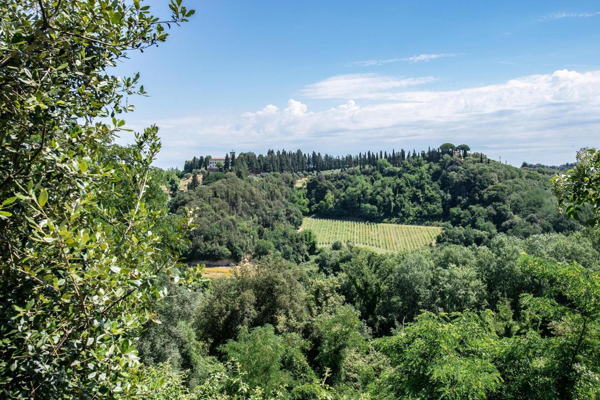 Fattoria Di Colleoli Guest House Exterior photo